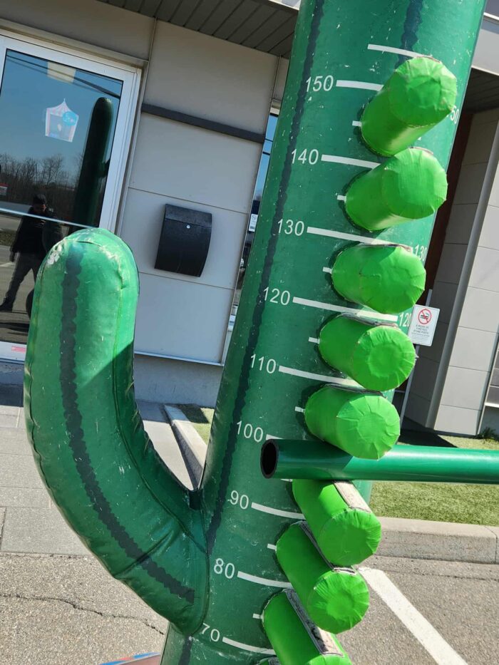 Limbo Cactus