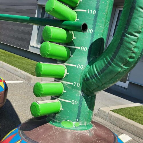 Limbo Cactus