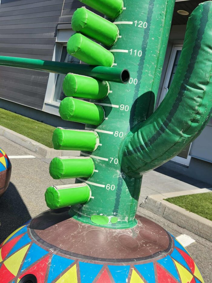 Limbo Cactus